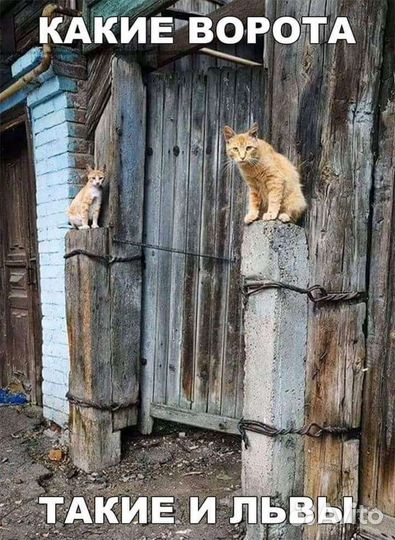 Вывоз мусора