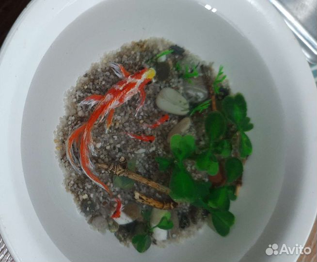 Тарелка с рыбкой