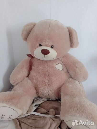 Плюшевый мишка