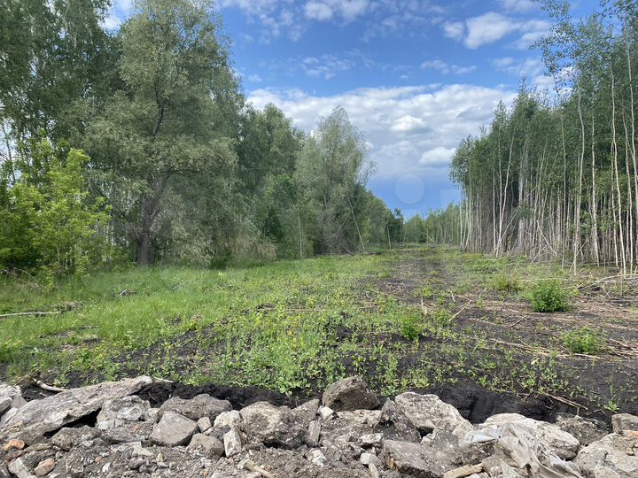 Участок 22,2 сот. (ИЖС)