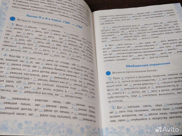 Тренажёр русский язык Никулина м.ю