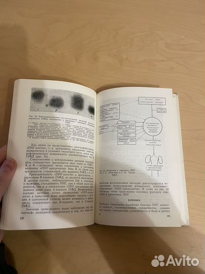 Алексеев, Берлинер: Гемоглобинурии 1972г