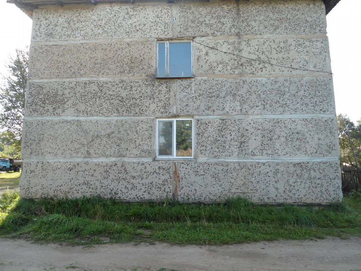 2-к. квартира, 37 м², 1/2 эт.