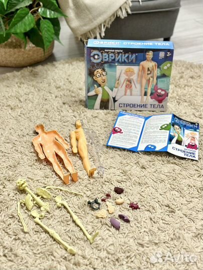Развивающий набор по анатомии Эврики