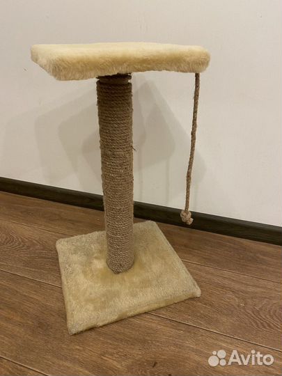 Когтеточка