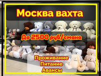 Вахта в Москве стикеровщики плющевых игрушек