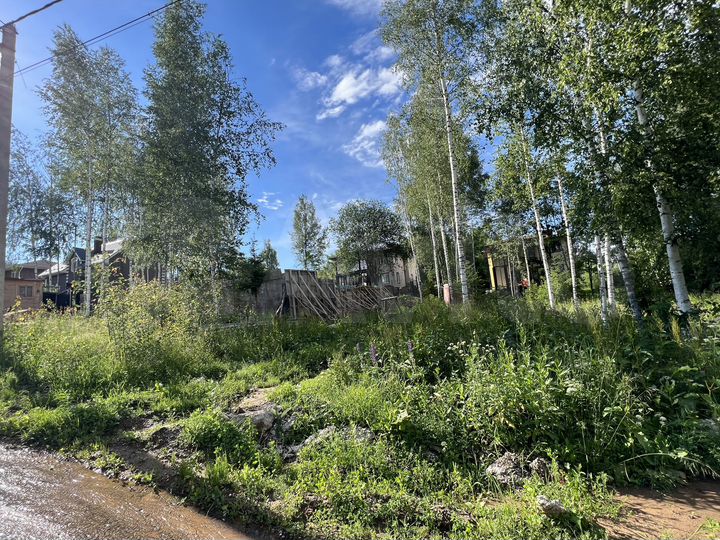 Участок 19,2 сот. (ИЖС)