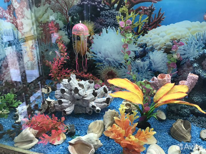 Сюда все вопросы про дом и аквариум