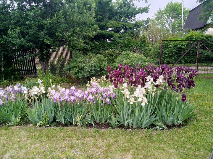 Дача 50 м² на участке 6 сот.