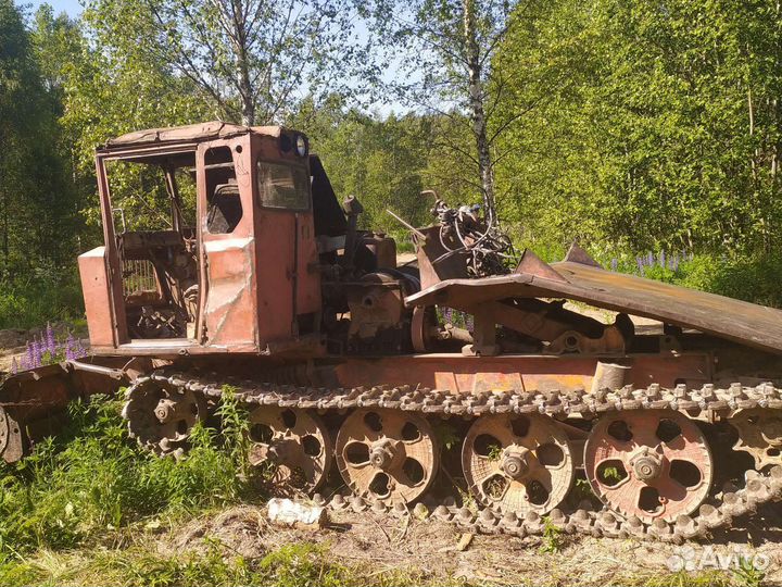 Требуется бригада на заготовку леса