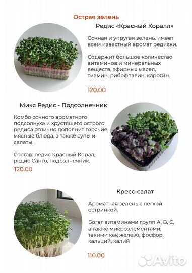 Микрозелень и Взрослая зелень Пермь