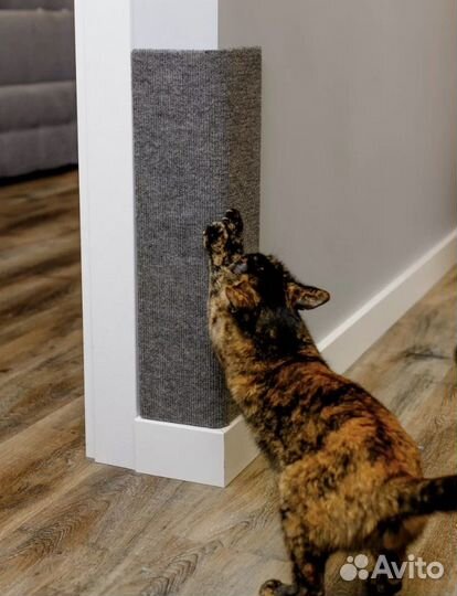 Когтеточка