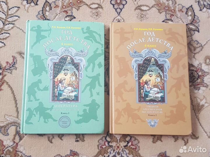 Литература 6 класс Р.Н. Бунеев, Е.В. Бунеева