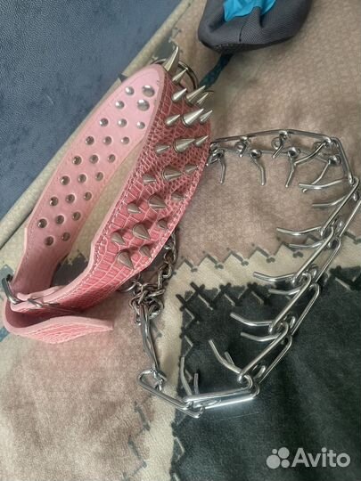 Ошейник для собак