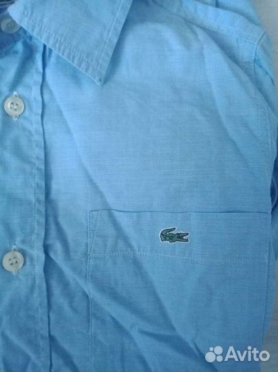 Рубашки детские, boss, Lacoste, Mexx