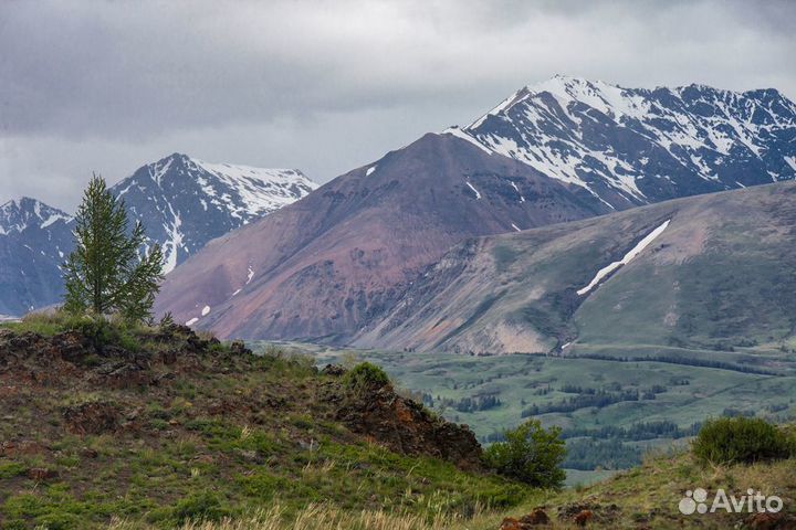 Фото Горного Алтая