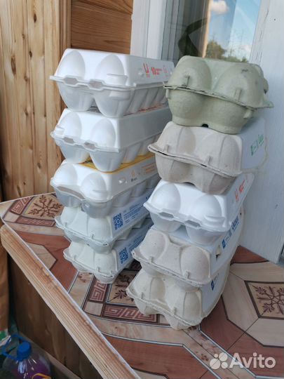 Коробки под яйца