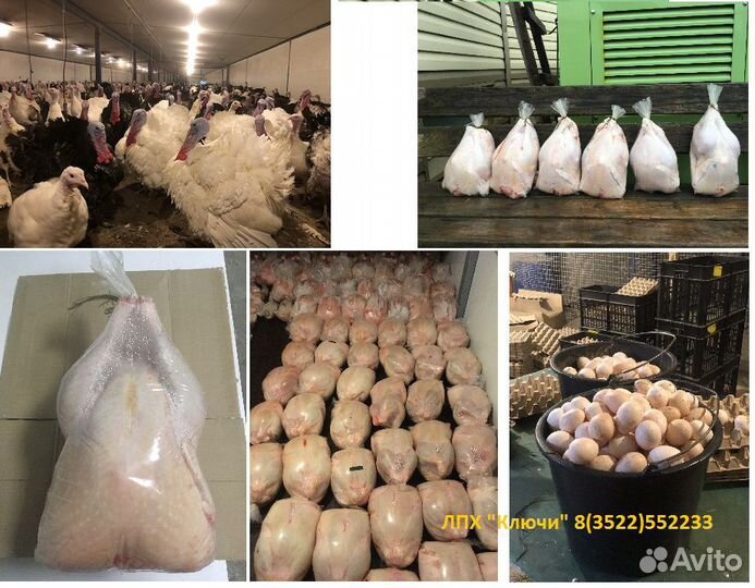 Мясо индейки, утки