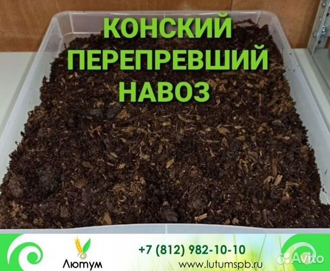 Навоз перепревший