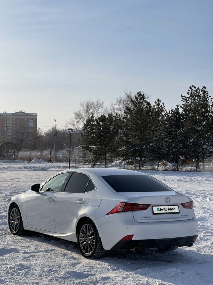 Lexus IS: фото владельца