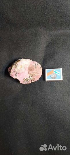 Радонит с ящерецей