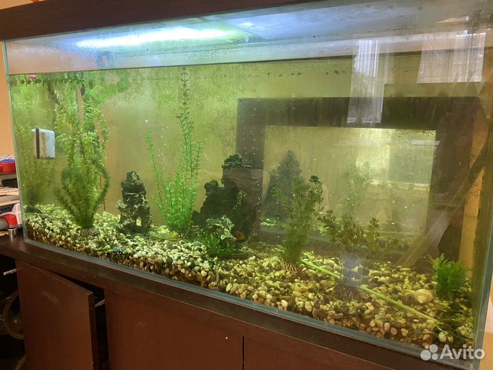 Аквариум