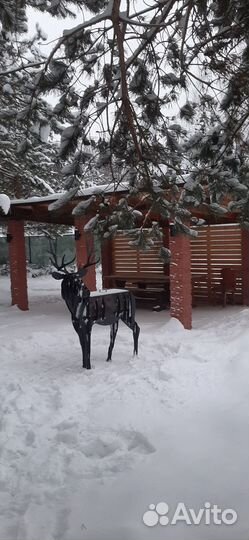 Отдых и рыбалка