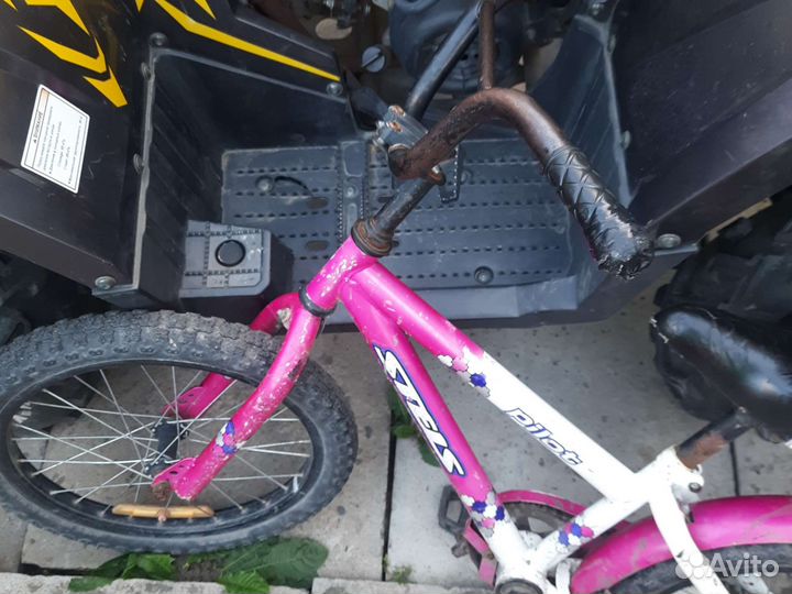 Отдадам велики за шиколадку