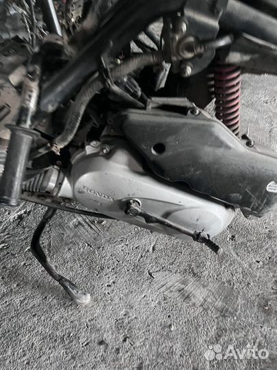 Скутер honda dio 62-68 разюор