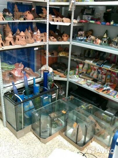 Аквариумы от 4-х л. до 126 л. + рыбки 15 видов