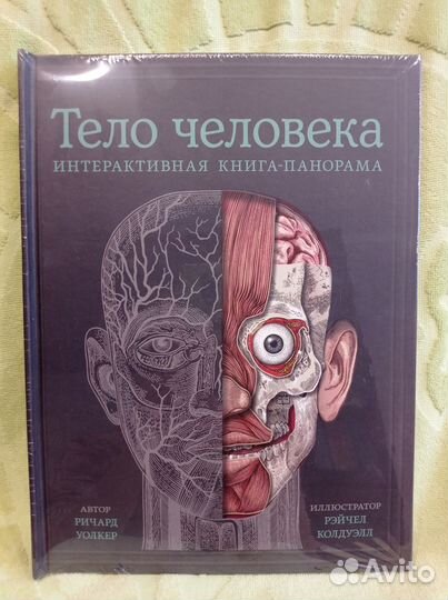 Тело человека, миф