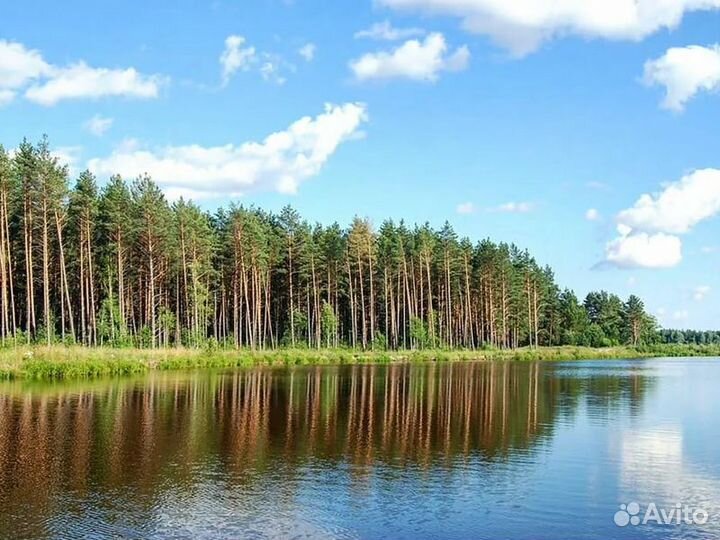 Экскурсия — Орел — Орловское Полесье: по следам зу