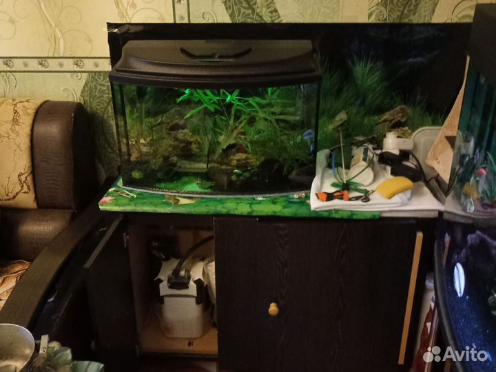 Внешний фильтр