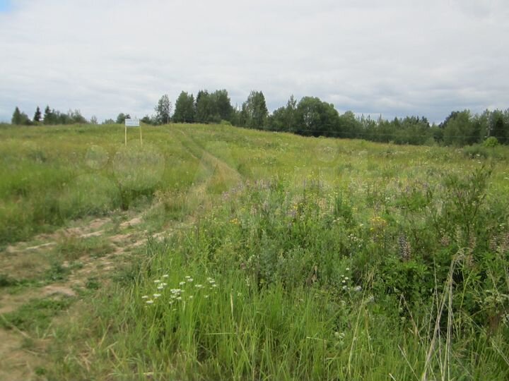 Участок 6,43 га (СНТ, ДНП)