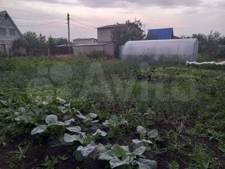 Участок 5 сот. (СНТ, ДНП)