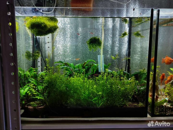 Аквариум 7,10,35,60 литров