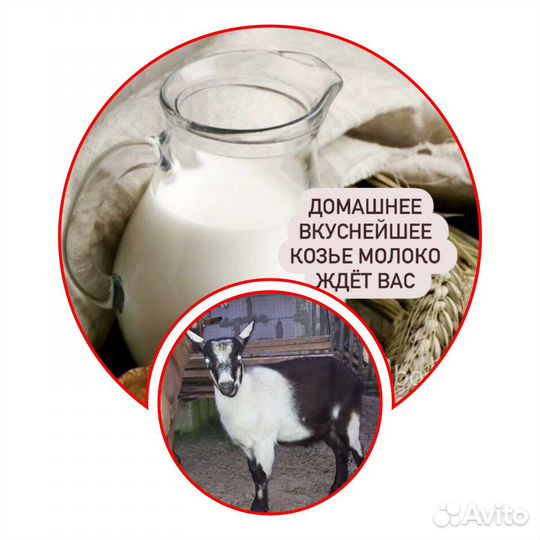 Козье молоко с доставкой