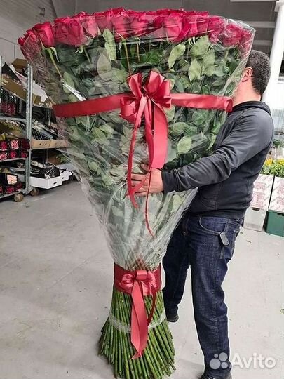 101 Роза Цветы Букеты 51 25 Роз Доставка