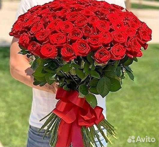 Высокие розы Гигантские розы Доставка цветов
