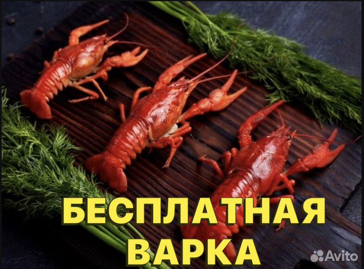 Раки живые и варёные /Волжские