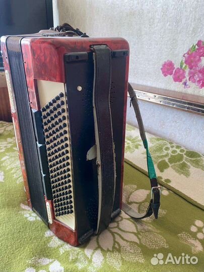 Баян пятирядный