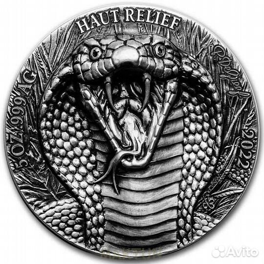 Код-Д' Ивуар 2022г Королевская Кобра