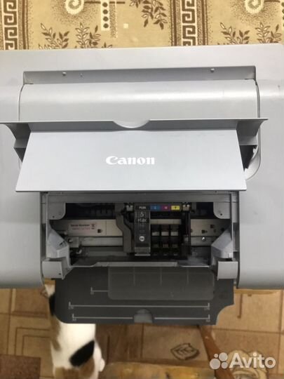 Принтер струйный canon