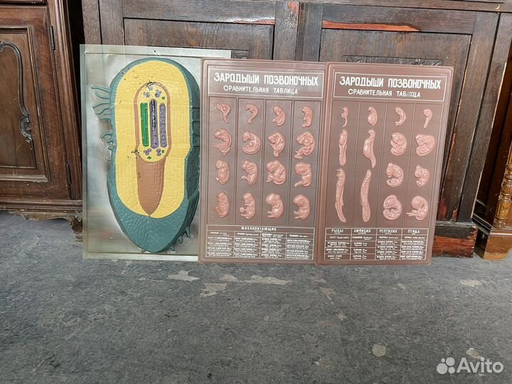 Учебные пособия по биологии СССР