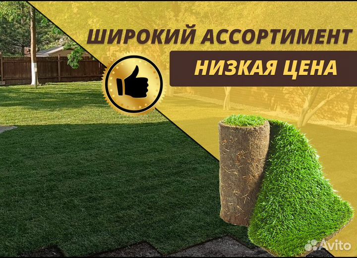 Рулонный газон с укладкой