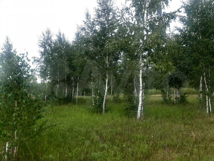 Участок 10,4 сот. (ИЖС)