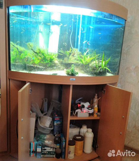 Аквариум