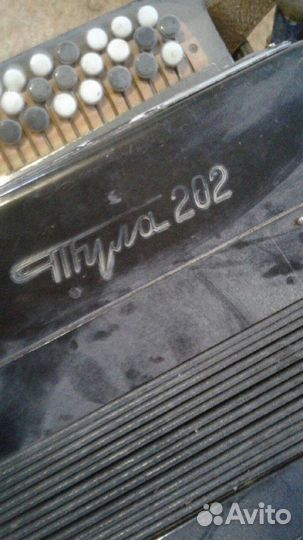 Баян Тула-202