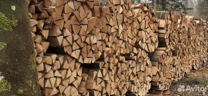 Дрова чистые