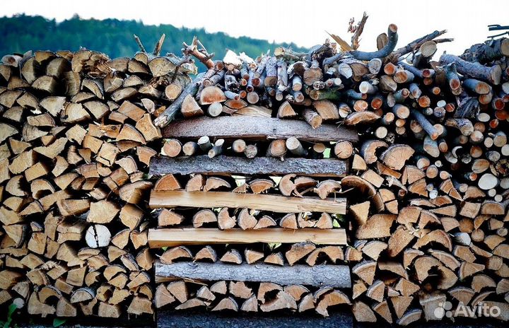 Дрова осина